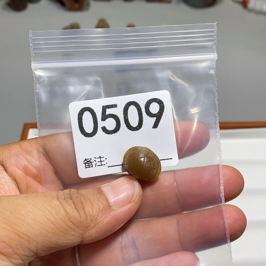 颈饰未镶嵌透闪石质玉L*x