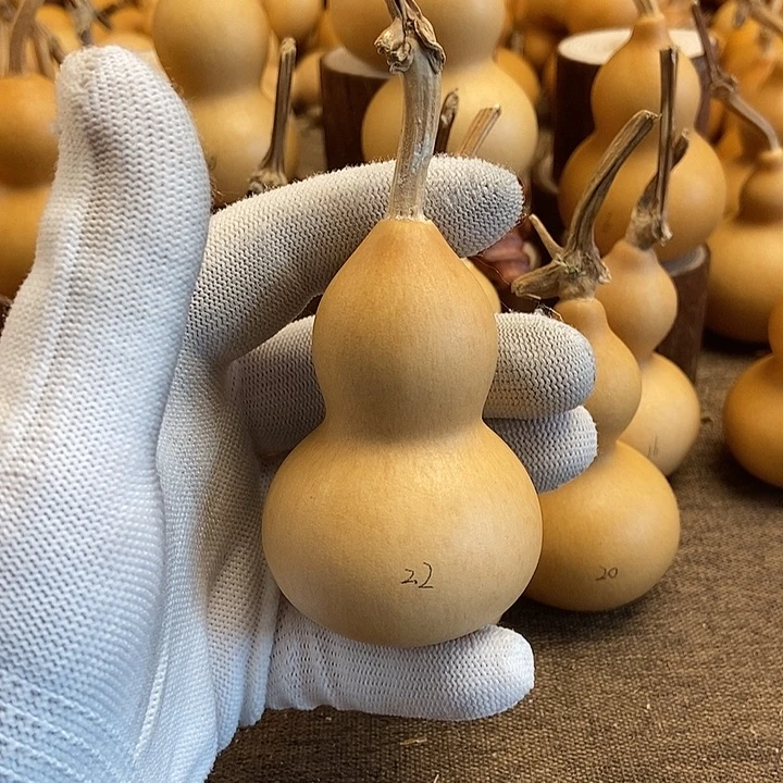 文玩葫芦 完美主义者 慎拍22