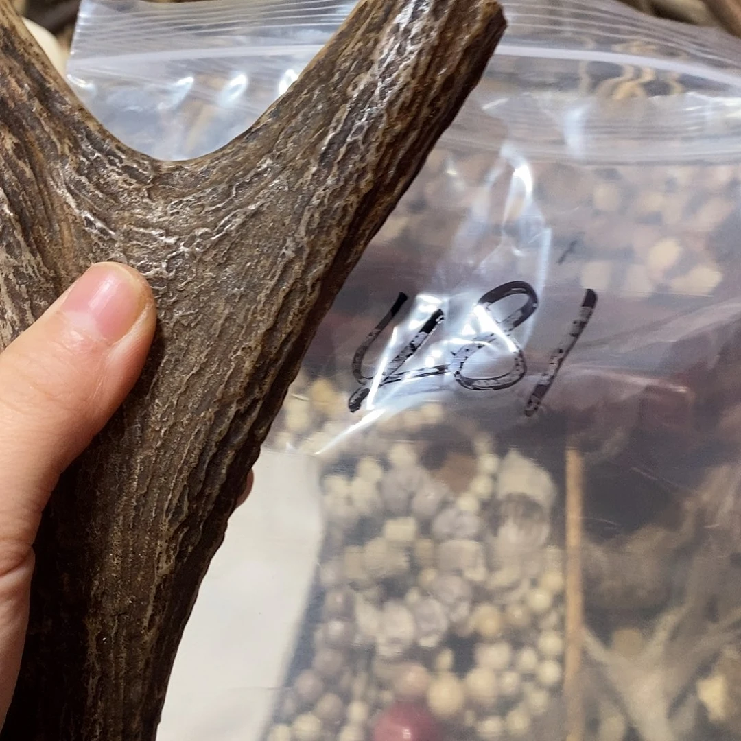 ヤ***シ非金属鹿角鹿角鹿角