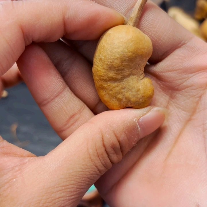 随****行888888888888888888