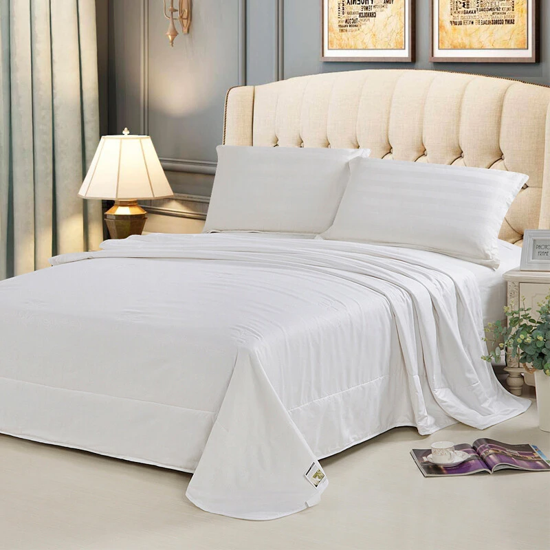 安巢家居（ANCHOW）家居 蚕丝被双人夏凉空调被 春秋被薄被子被芯 2