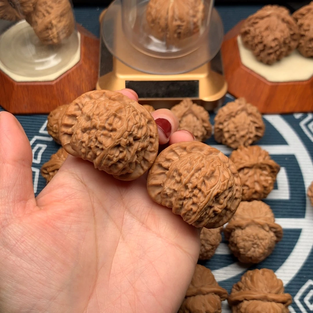 文玩核桃把件星白狮子