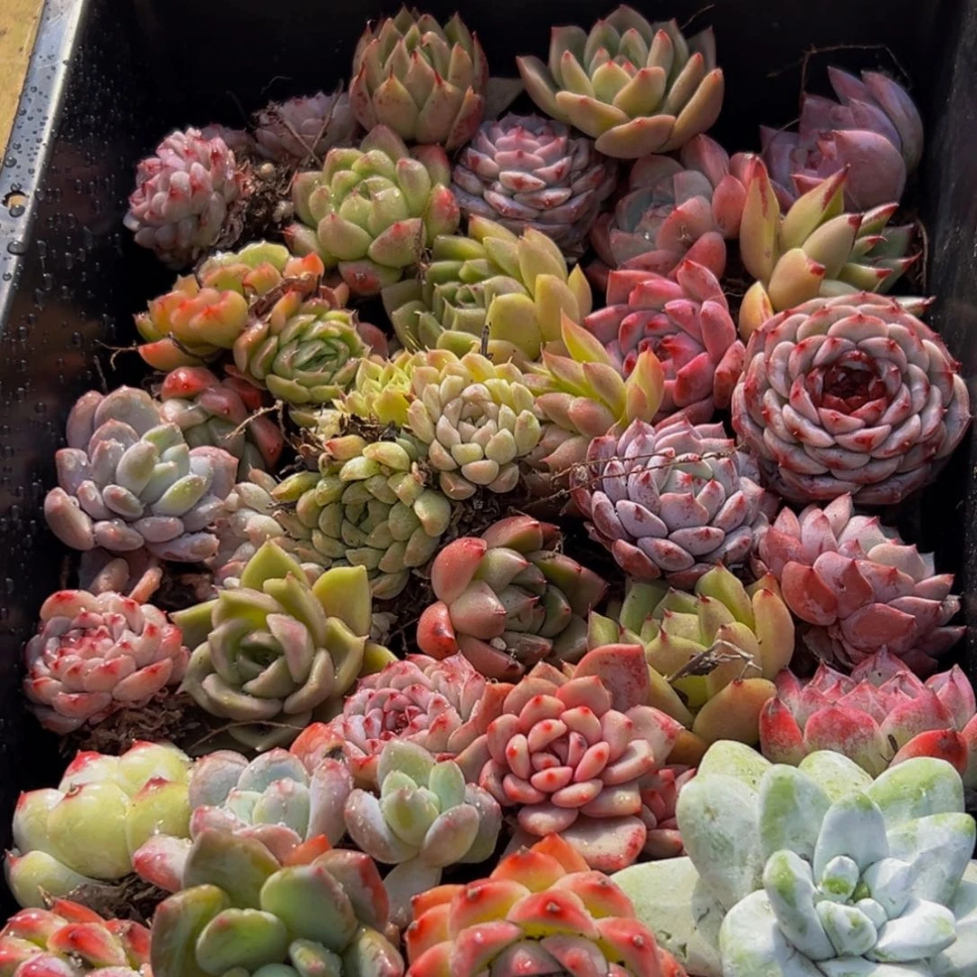 797点的点点滴滴地方