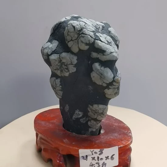 石材y08牡丹石原石