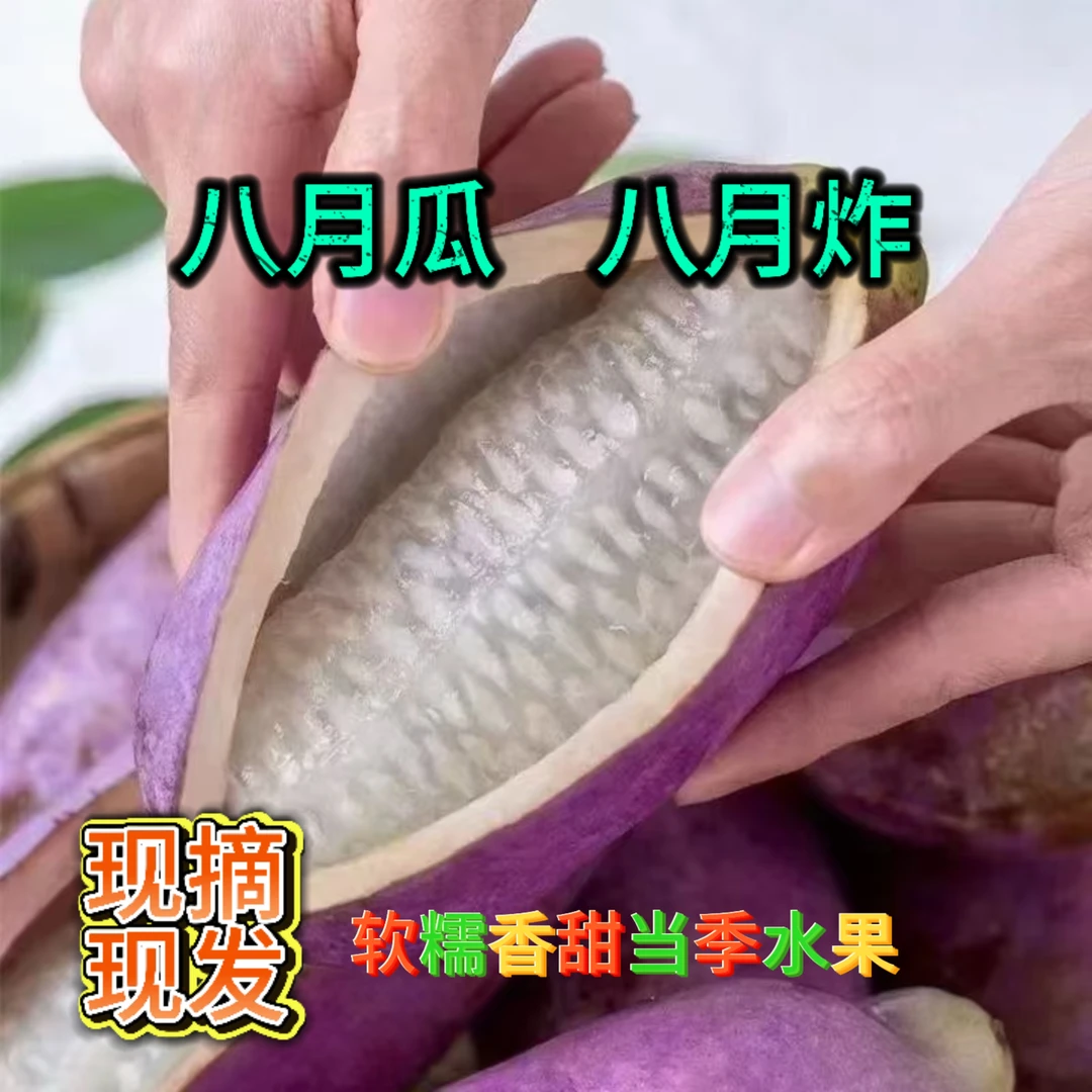 [桑植卓群]正宗八月瓜张家界高原水果现摘顺丰包邮软糯香甜八月炸