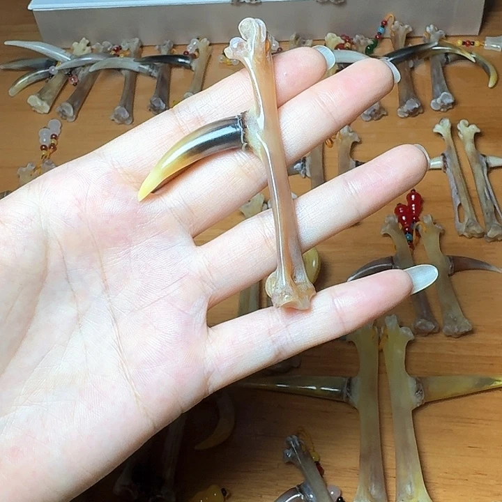 *****手串/手链鸡骨（鸡脚）鸡爪骨单只