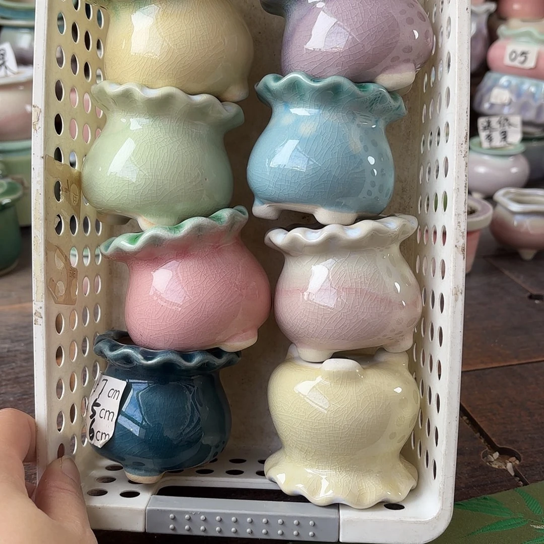 量货/5口高6深浅搭配发6