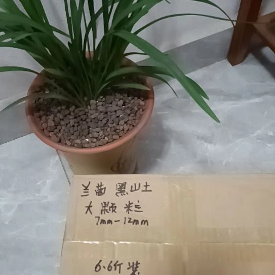 小***多兰菌颗粒大颗粒6.6斤