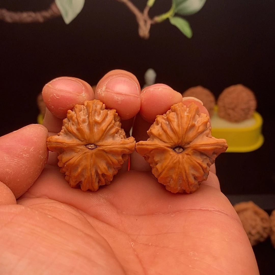 文玩核桃吊坠马老四34福利