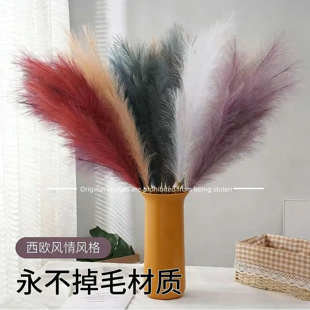 80cm粗杆豪华款客厅高品质芦苇永不掉毛材质潘帕斯草婚庆卧室