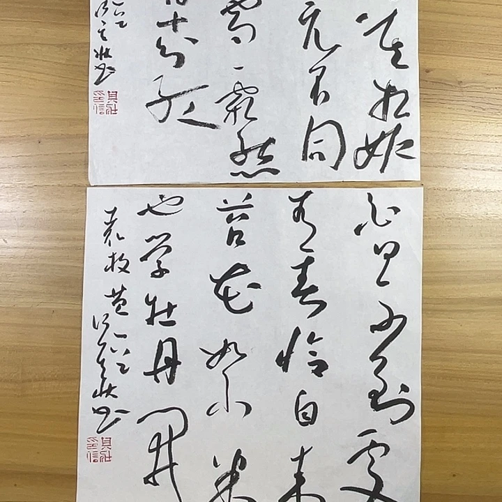用***3书法中书协老师作品