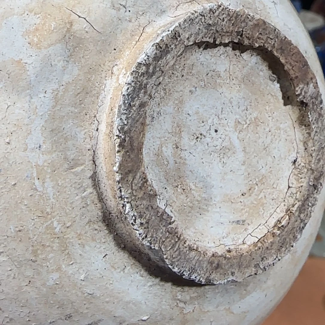 魏***瓷片瓷器瓷器瓷器瓷器