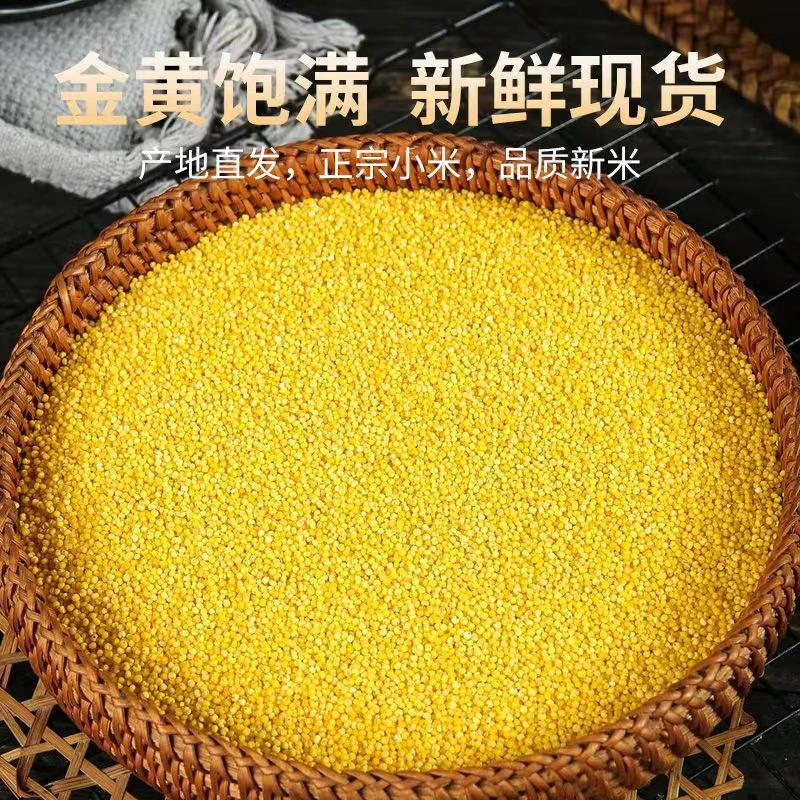 【5斤装】延安小米油糯黄小米宝宝米月子米煮粥蒸饭高原老品种小米