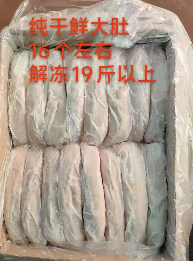 鲜冻猪大肚不带肚尖去油干净独立包装