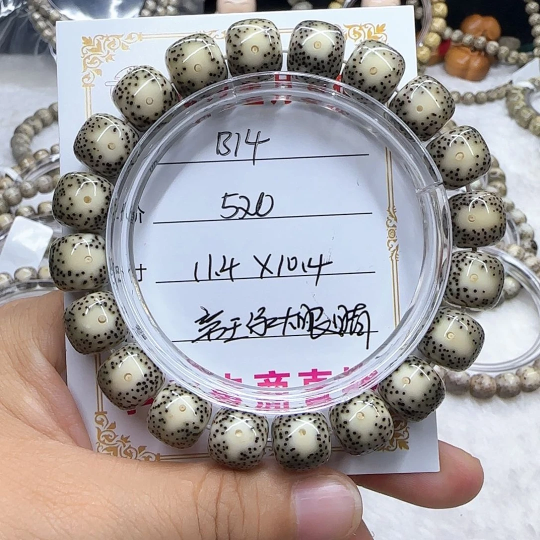 心月星月菩提一号B14