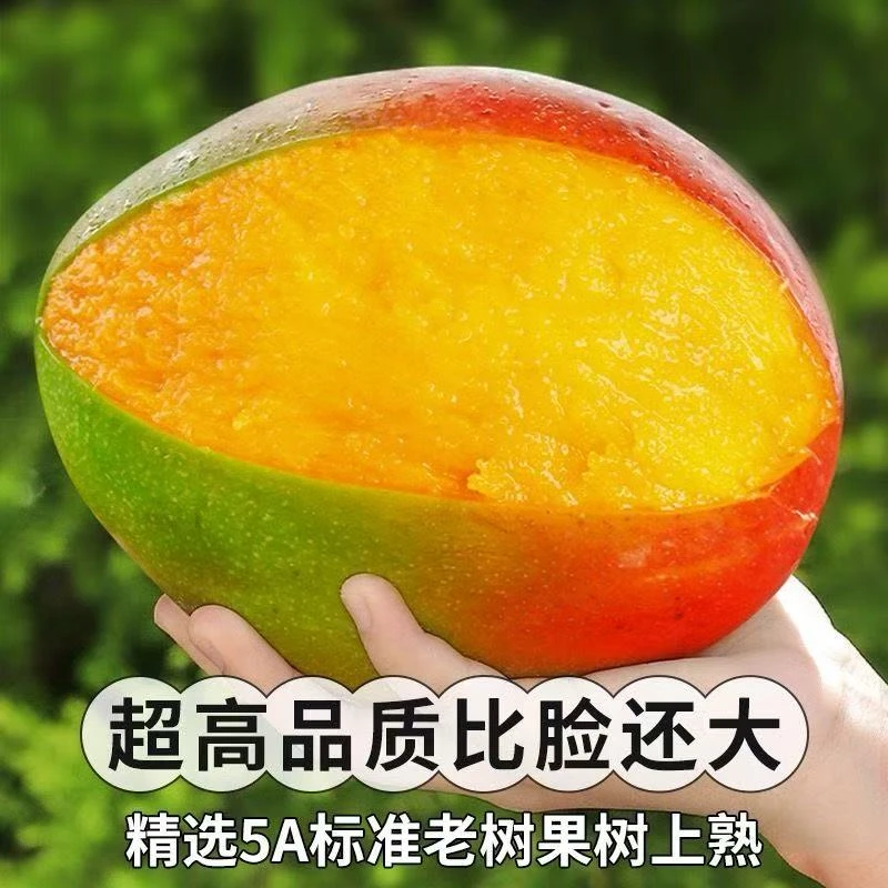 四川攀枝花青皮凯特芒果新鲜水果当季整箱特大凯特芒鲜果大芒果
