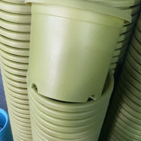 树脂四季3号果绿无托10个微瑕