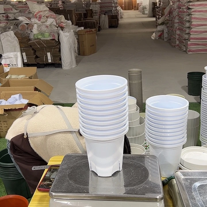 四季盆KY150白色带拖10只