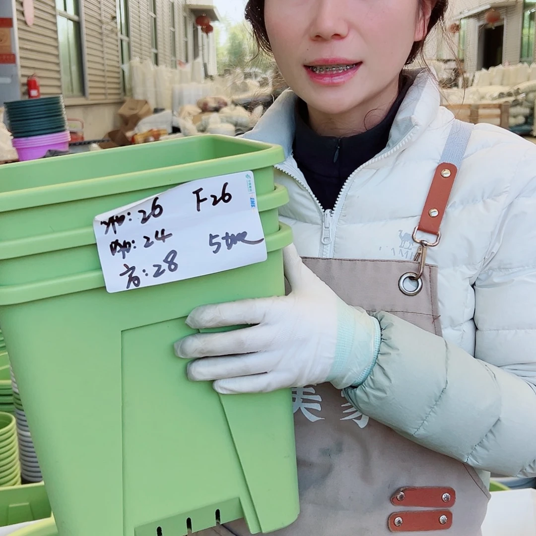 方盆F26果绿3个无托