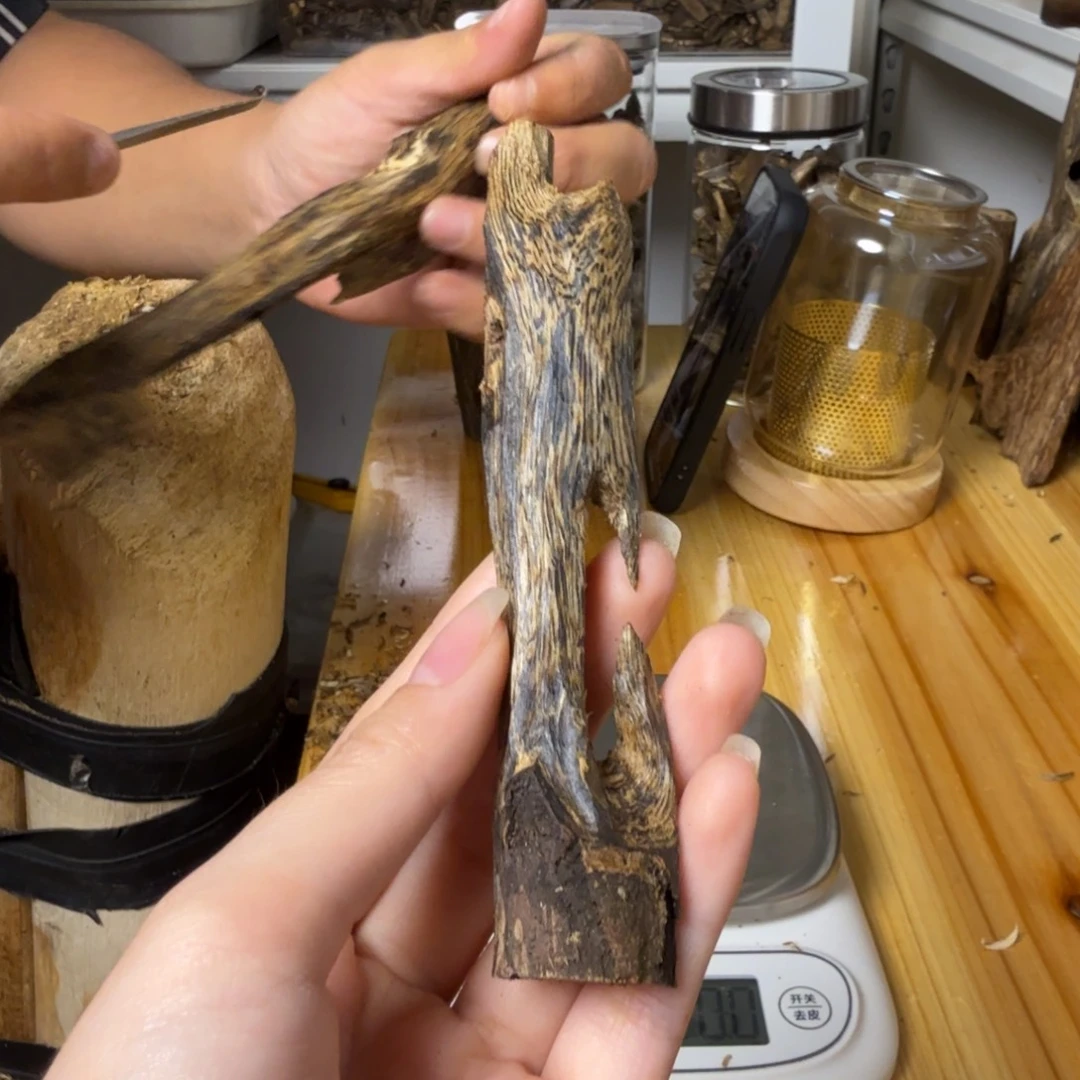 沉香张勺子虫漏香11克