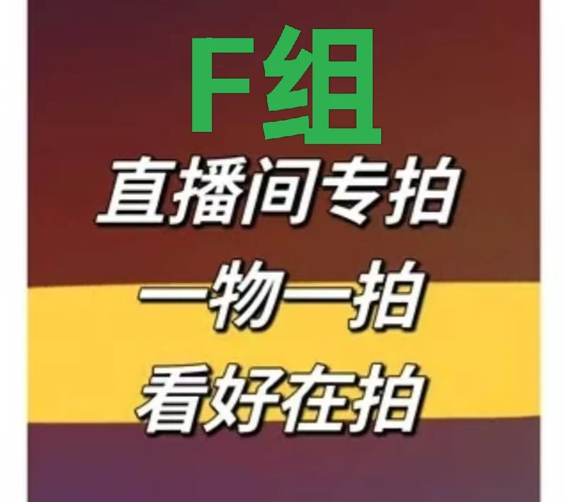 F组精品九月大花菊专属链接好看好种好养活运损不售后