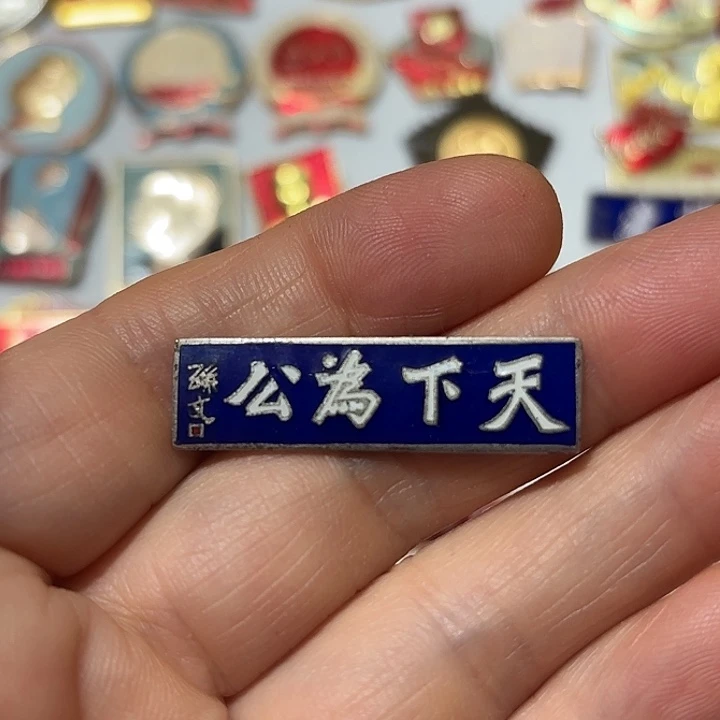 w***生其他普通金属纪念章