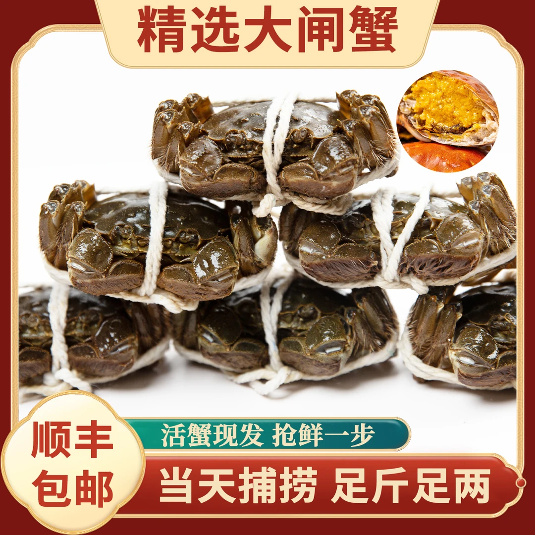 【活蟹】江苏精品大闸蟹全母蟹2.0-2.3两8+4只到手12只顺丰包邮海鲜