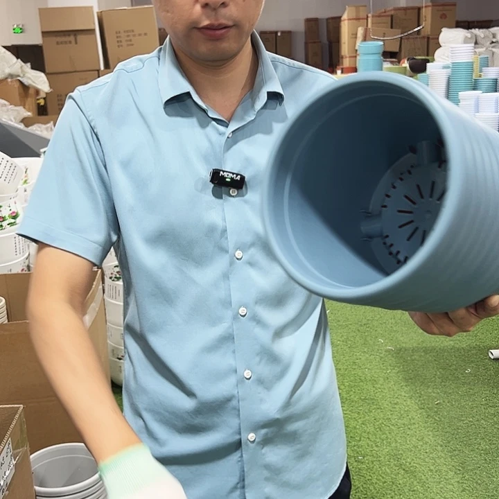 特价3号四季口21高17蓝色无托10只