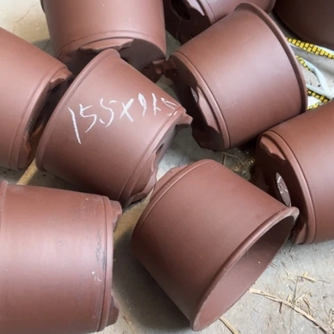 紫砂花盆100-8。        15.5-11.5