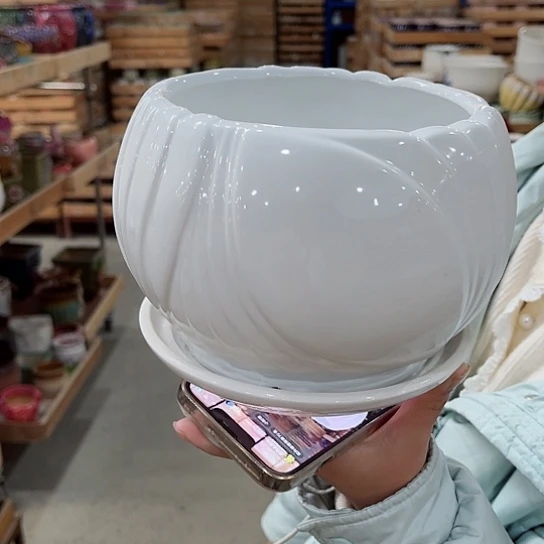 红陶直播间已有一年