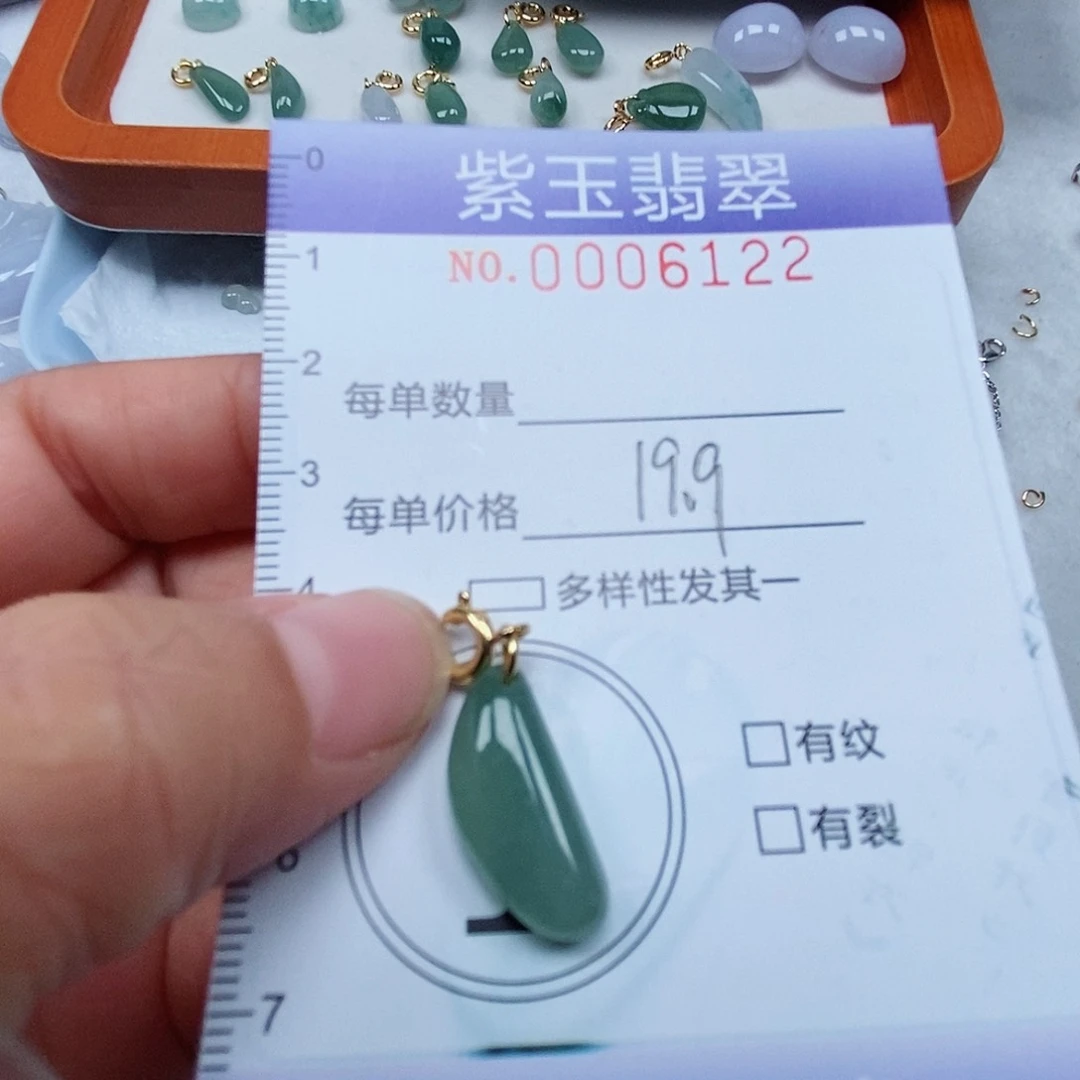 颈饰未镶嵌翡翠冰透随行