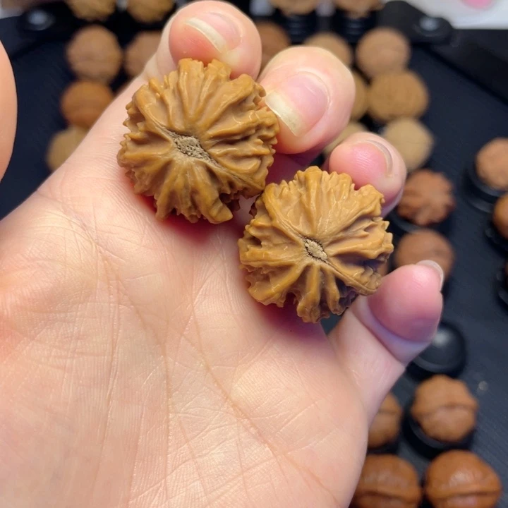 把件文玩核桃花王龙脊