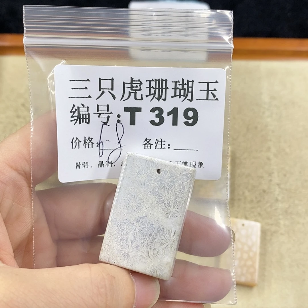 硅化珊瑚（珊瑚玉）1未镶嵌欸***欸