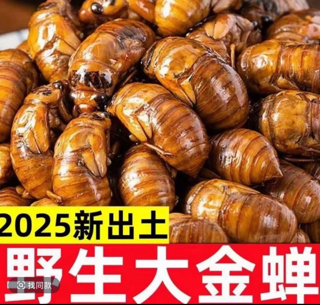 新鲜金蝉知了猴速冻现抓爬叉猴蝉蛹顺丰京东随机发