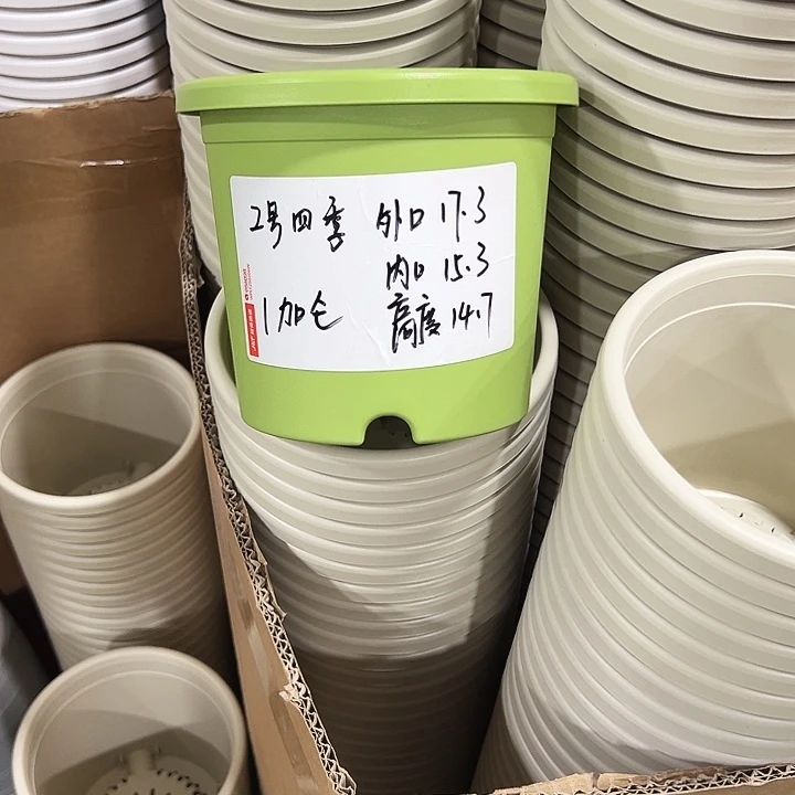 特价2号口17高14果绿10只无托