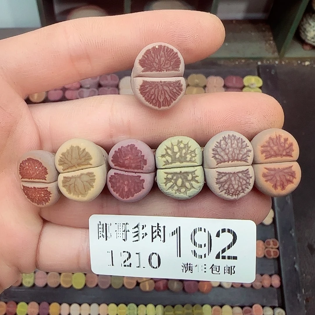 水****满满18包邮1210-192