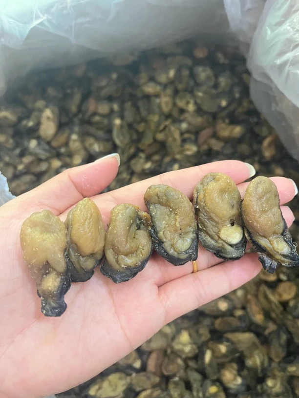100头蚝干味道鲜美煮粥煮汤