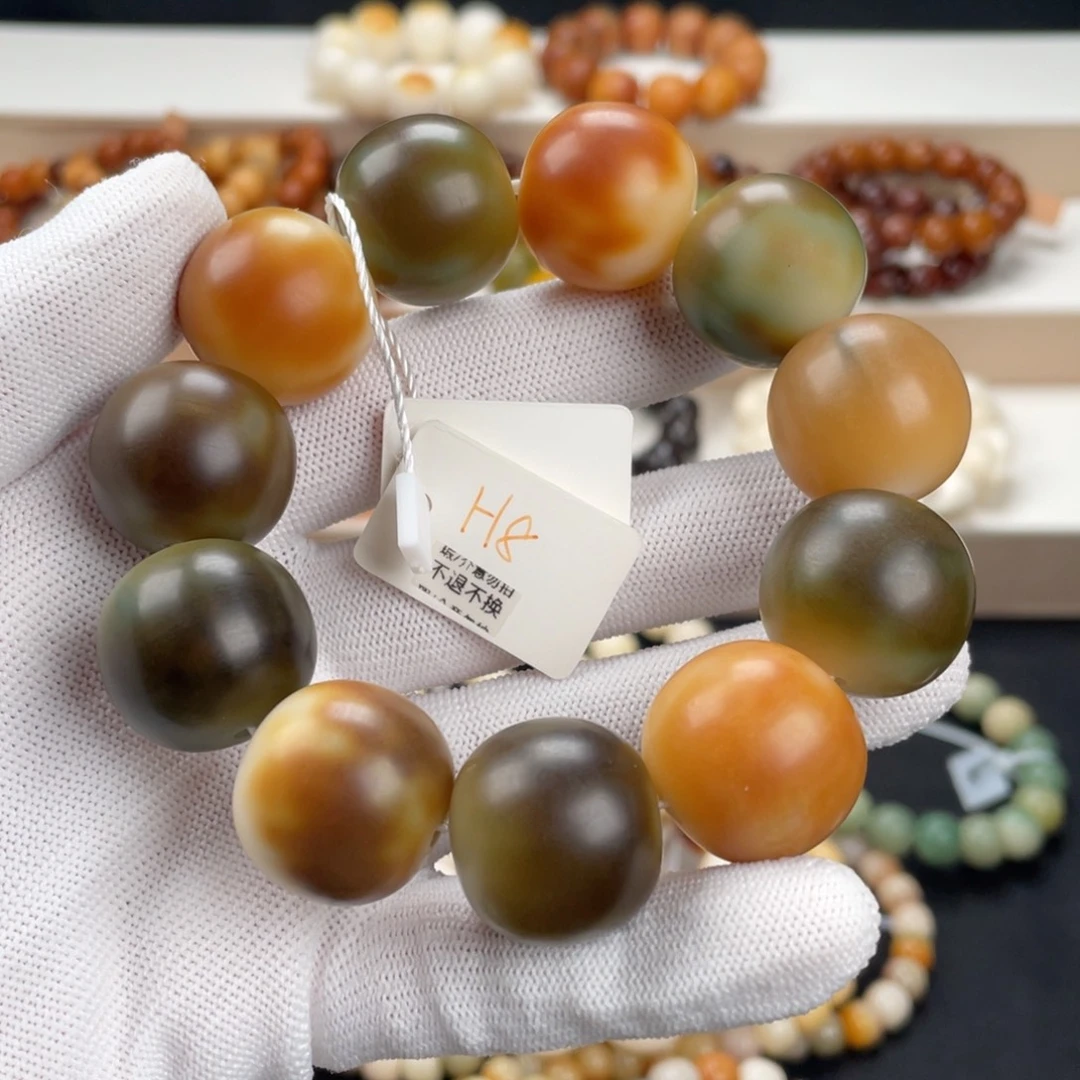 吊坠菩提根/象牙果卡23老油料