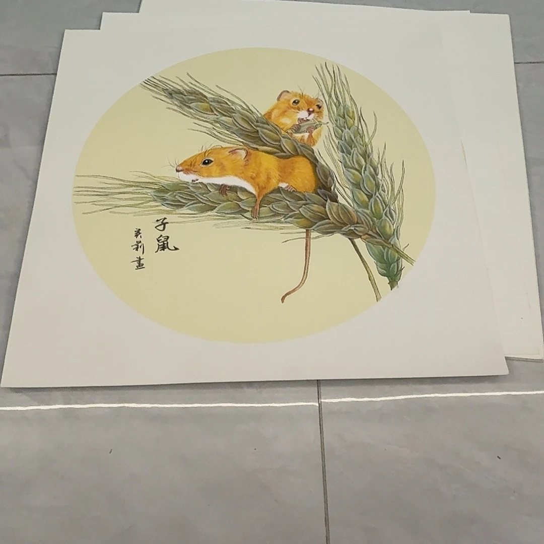 j***y国画密密麻麻密密麻麻秘密