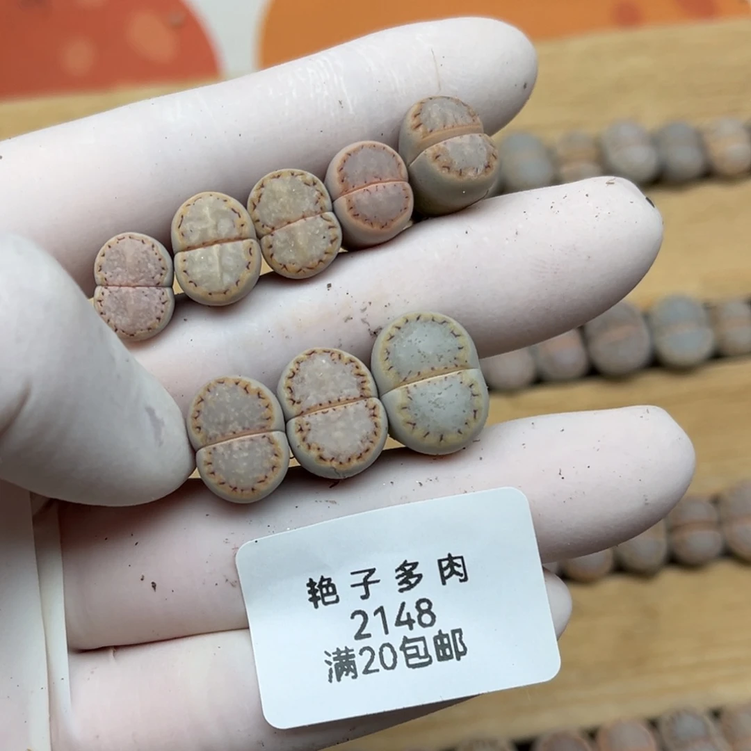 辣***辣2148号一首饼干八颗