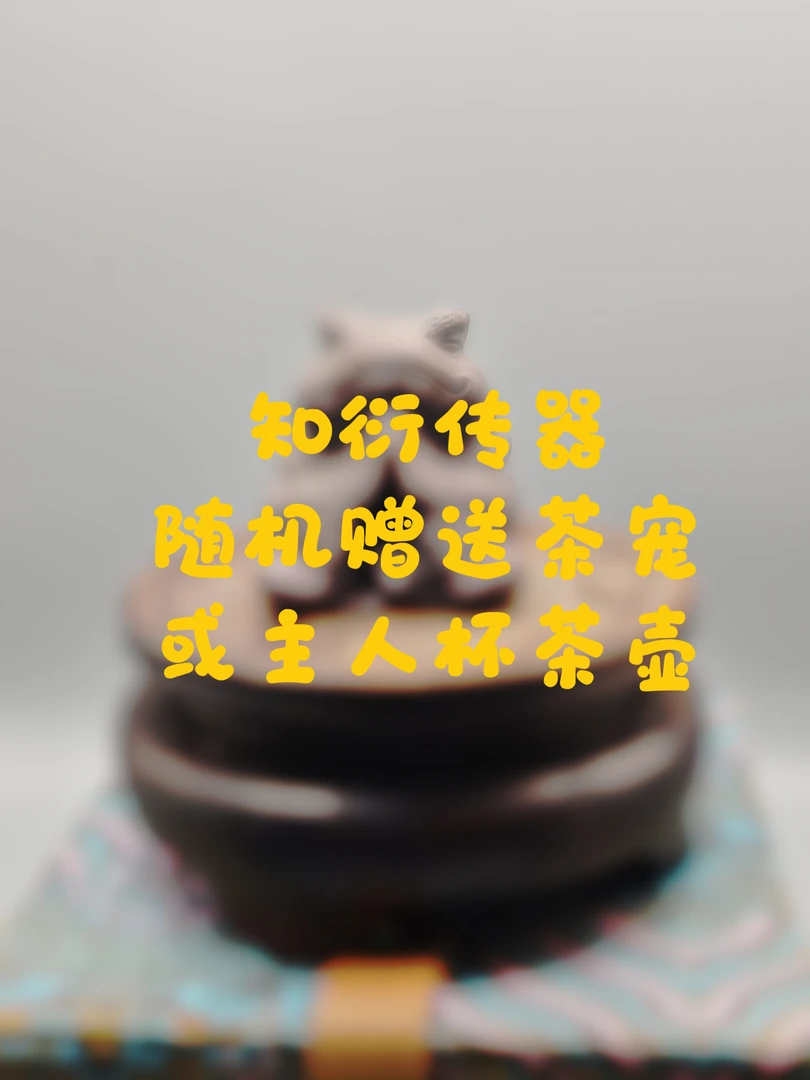 知衍传器宜兴精美创意小福小袋随机抽取茶宠