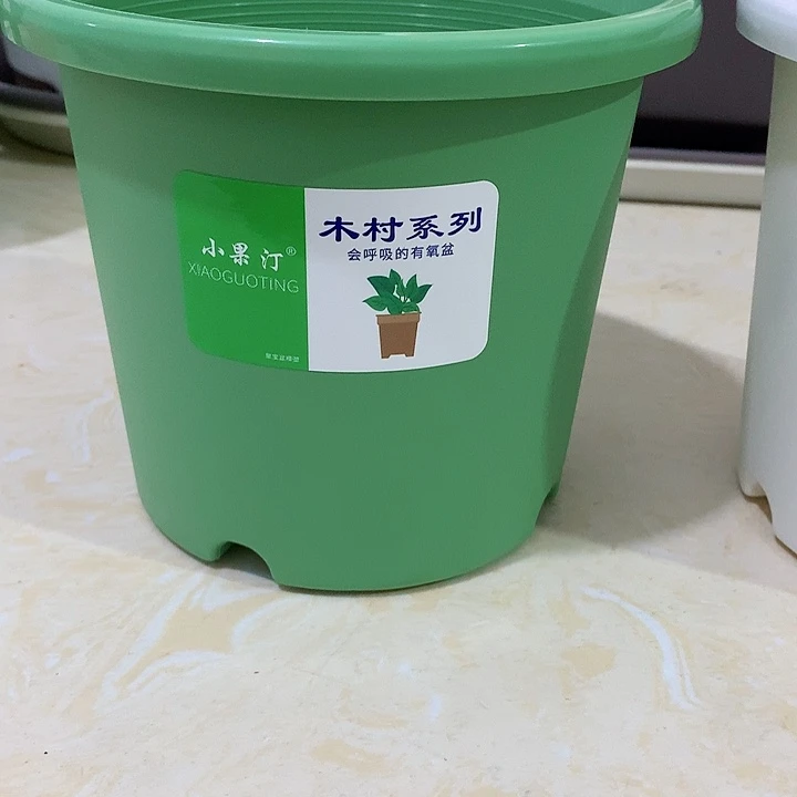 小果汀17口绿5个无托