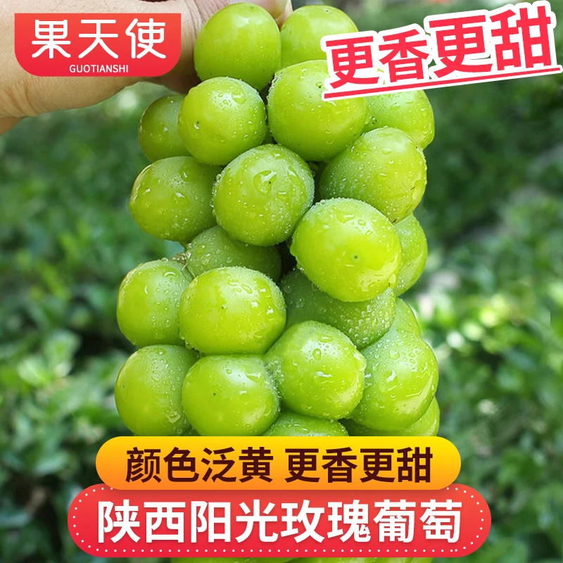 【果天使】陕西阳光玫瑰葡萄1.8-5斤颜色泛黄更香更甜新鲜应季水果