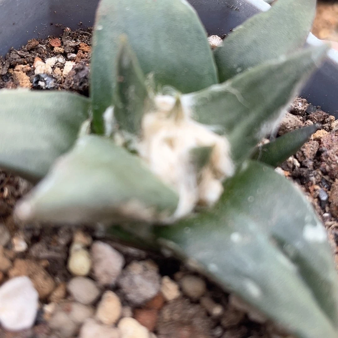 一*实生福利。。。。。。。