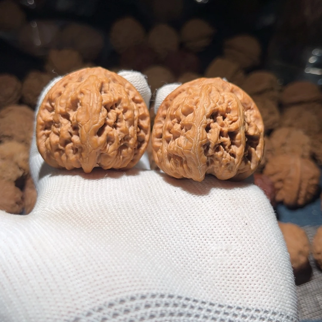 核桃42全品毕业平谷九龙