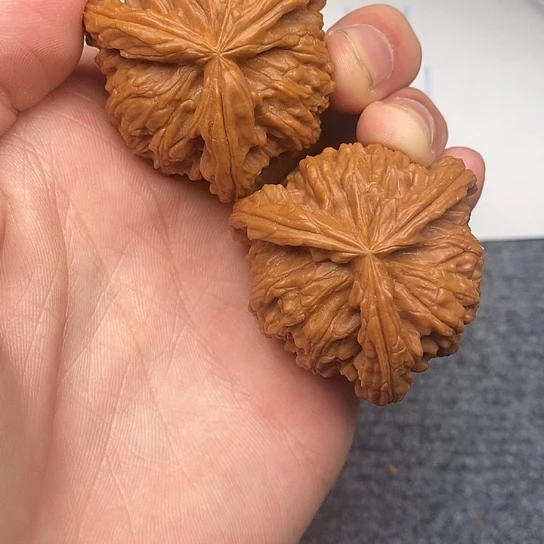 惢*糸白狮子111111111111