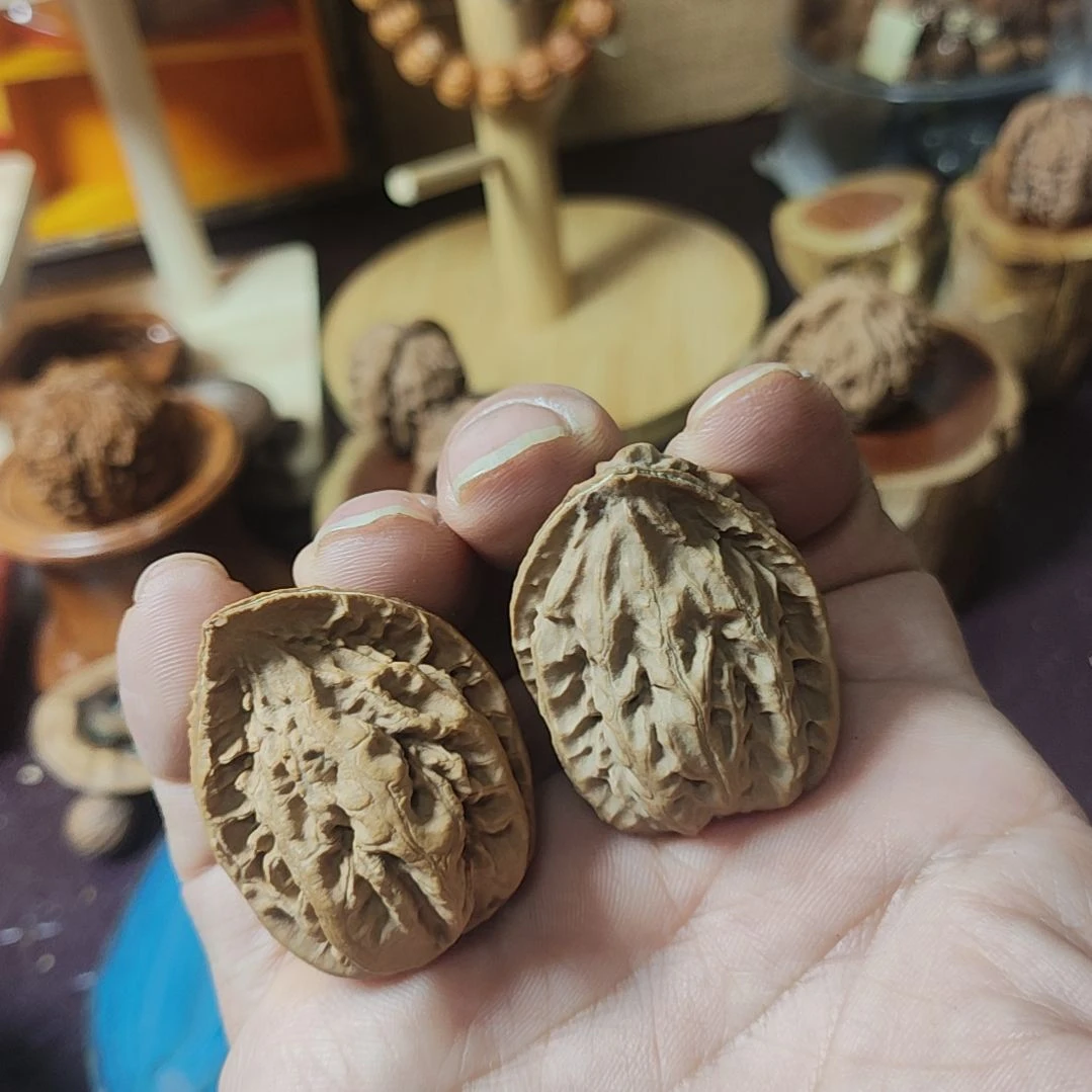 大叶紫檀（黑酸枝木类）