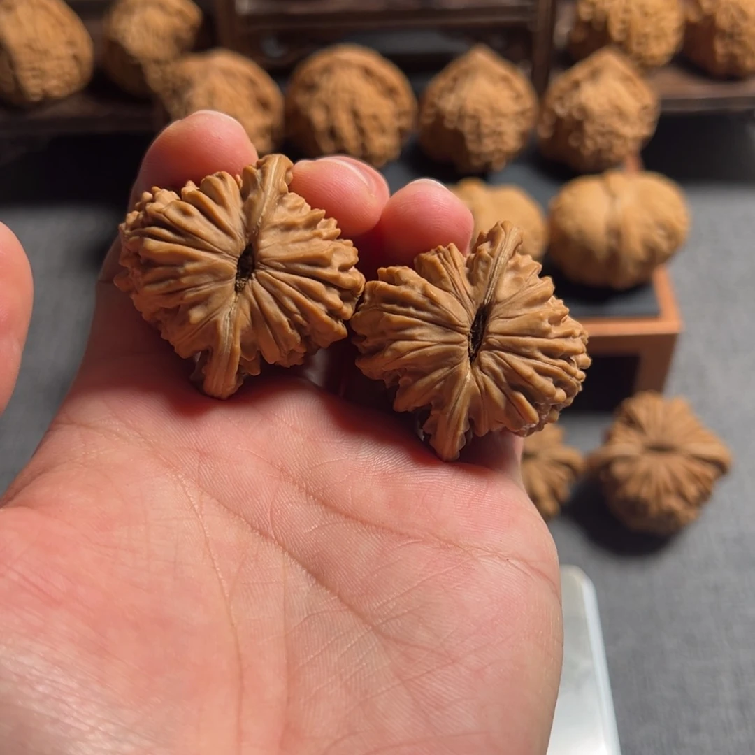 文玩核桃把件来****叶40平谷楼