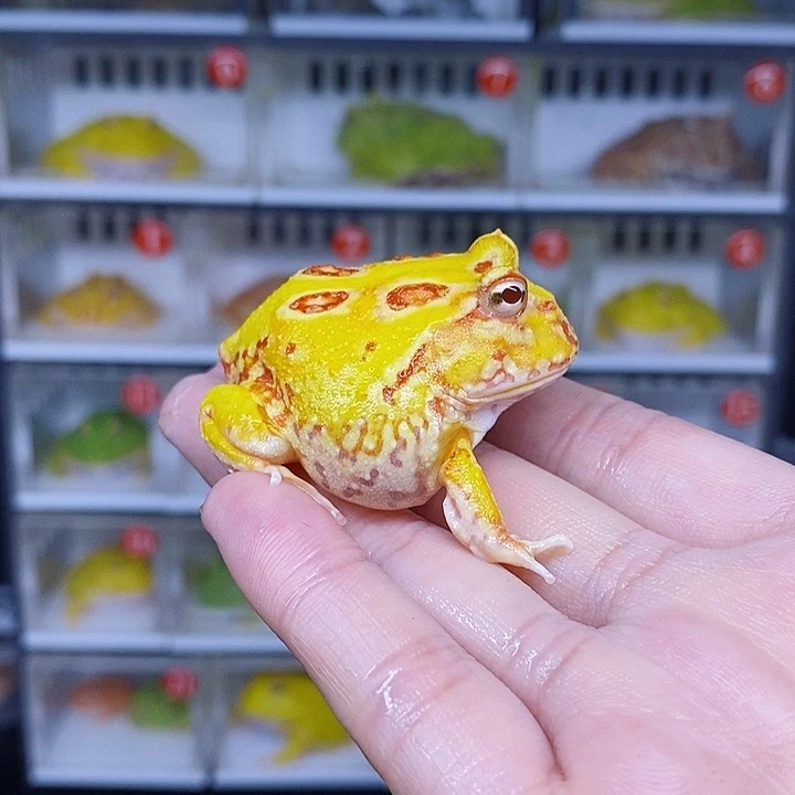特价秒杀现货供应
