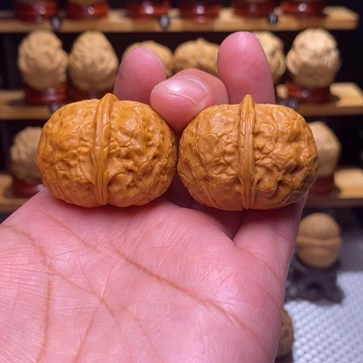 木质类云铁小鲲鹏元宝24号